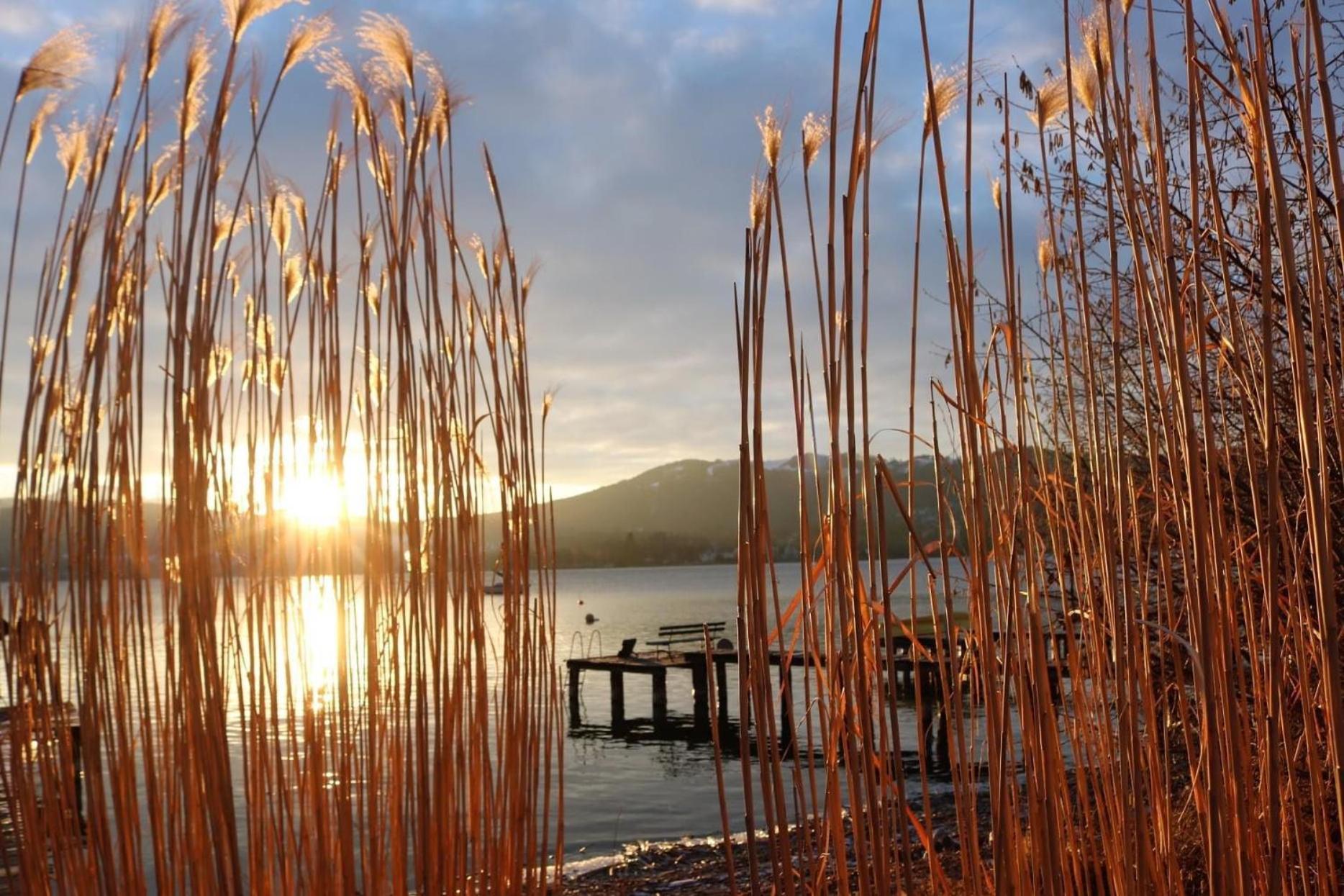 Seepanorama An Der Esplanade 1 Gmunden Dış mekan fotoğraf