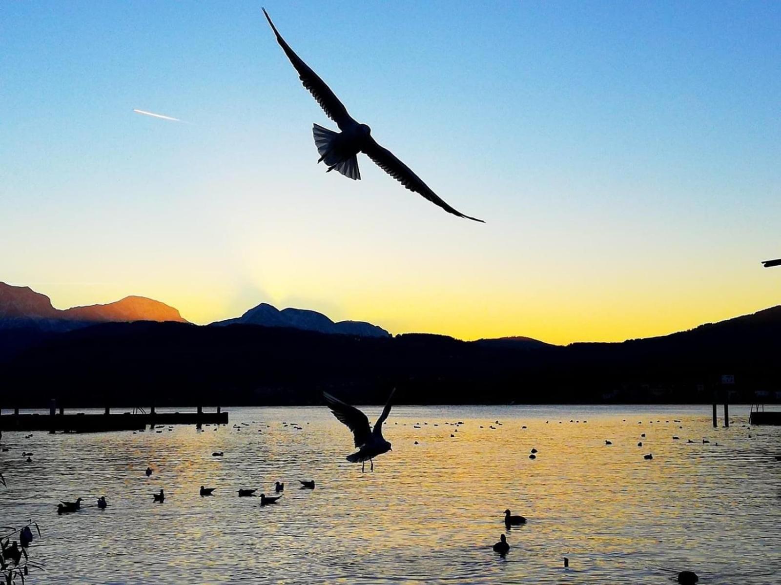 Seepanorama An Der Esplanade 1 Gmunden Dış mekan fotoğraf