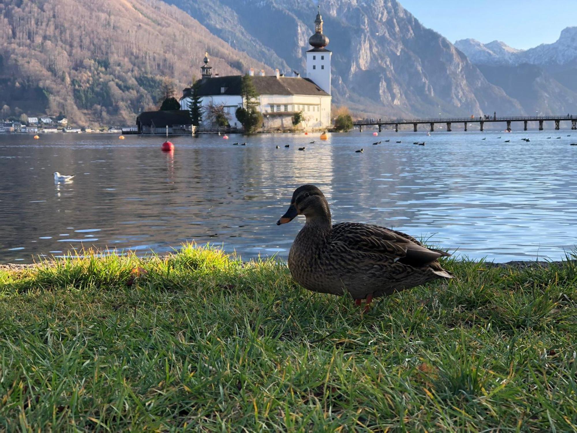 Seepanorama An Der Esplanade 1 Gmunden Dış mekan fotoğraf