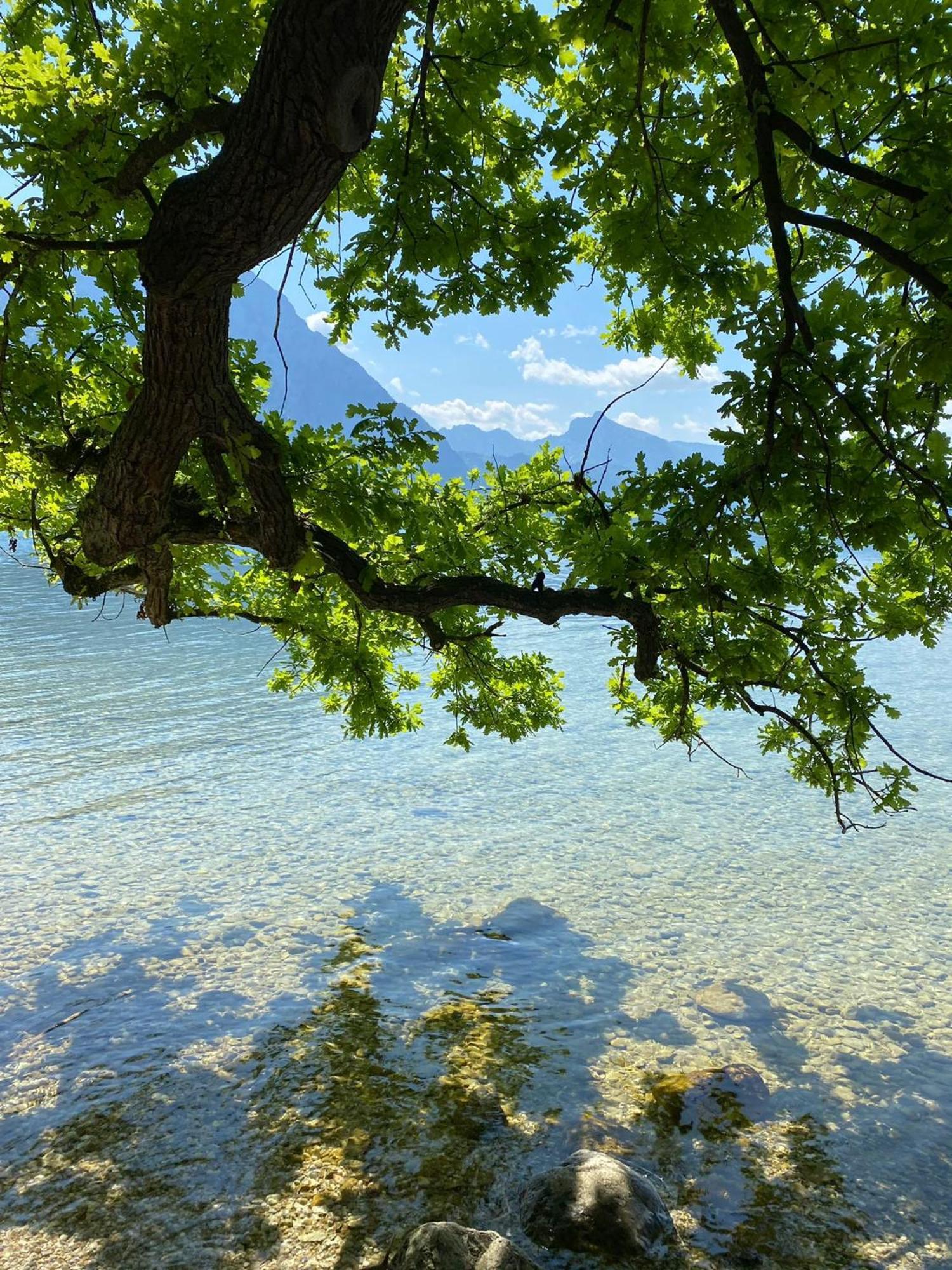 Seepanorama An Der Esplanade 1 Gmunden Dış mekan fotoğraf
